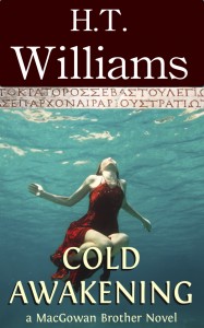 Cold Awakening - a MacGowan Brothers Novel